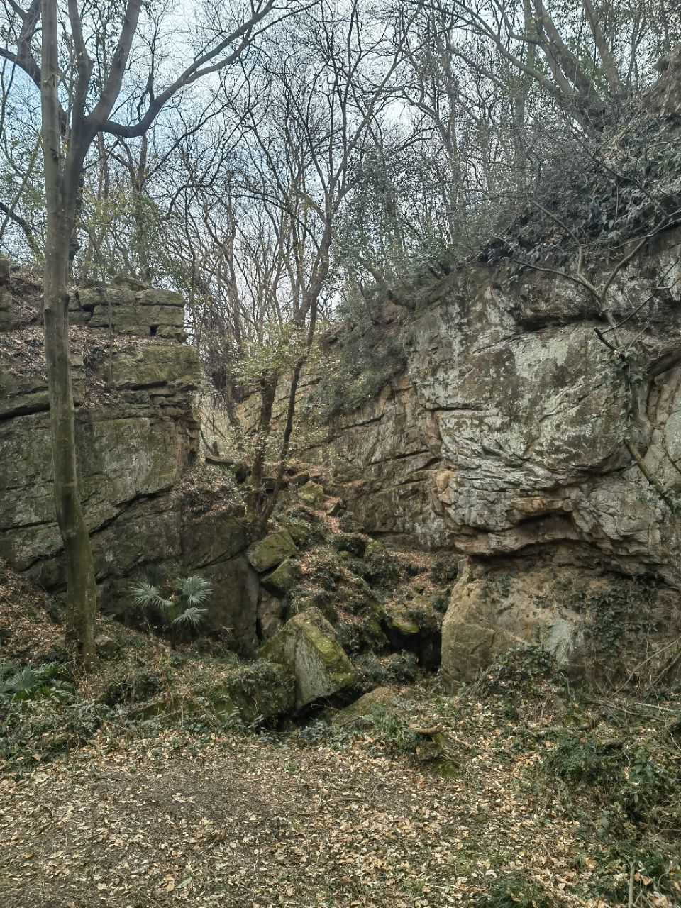 20260228112434front2_0_115823_FmMF5p6OXj1PNDxupucAfXF6WiQF.jpg