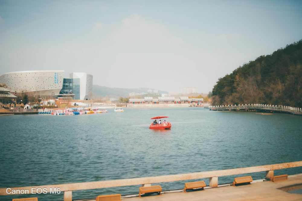 _MG_6828.jpg