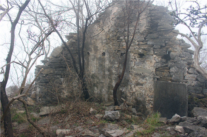 IMG_6398.jpg