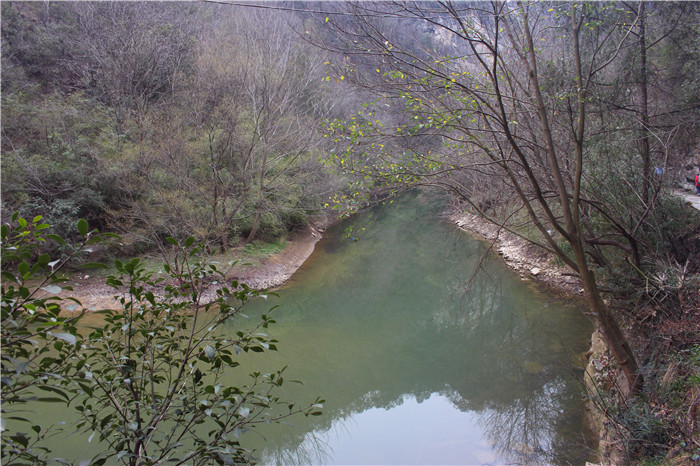 IMG_6858.jpg