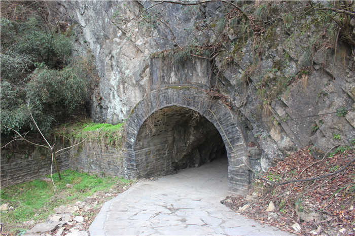 IMG_6860.jpg