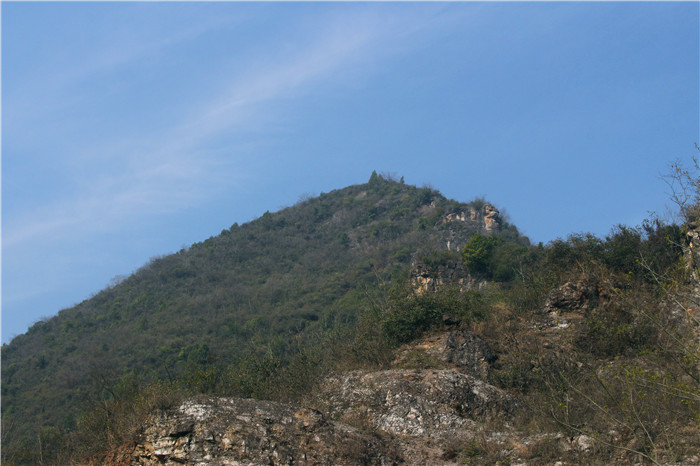 IMG_7064.jpg