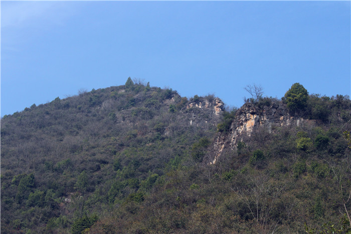 IMG_7066.jpg