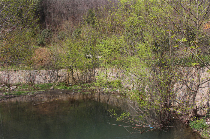 IMG_7229.jpg