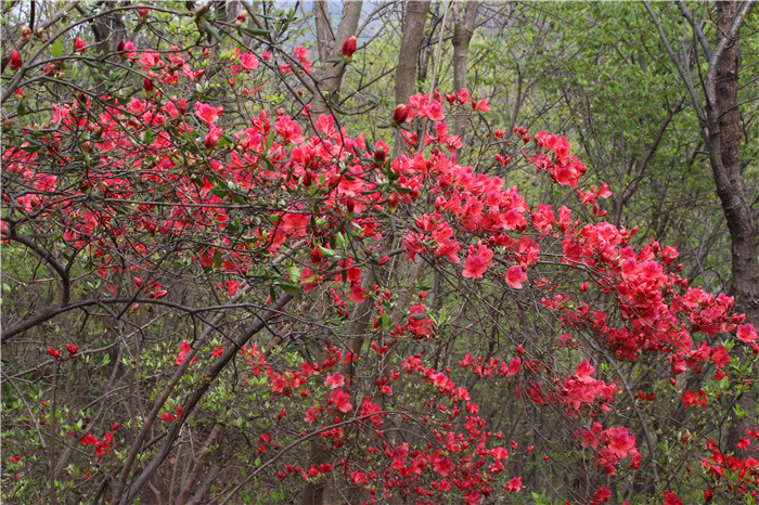IMG_7564.jpg