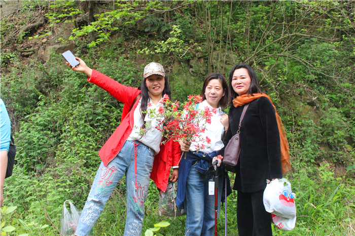 IMG_7787.jpg