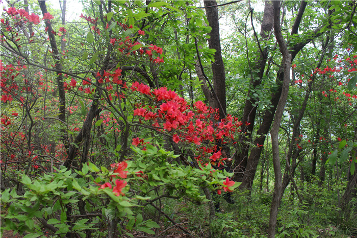 IMG_7964.jpg