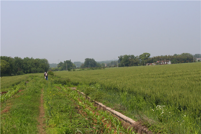 IMG_8462.jpg