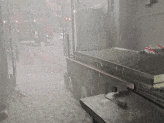 113649cbfomebx500abkfn.gif