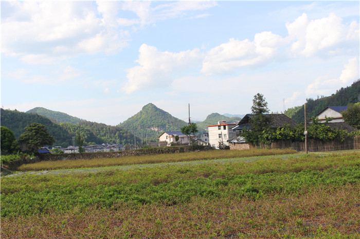 IMG_8587.jpg