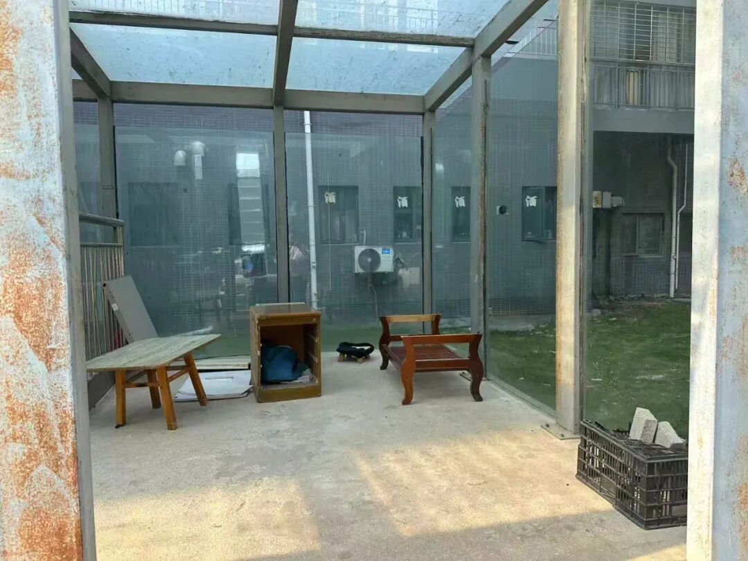 191632ujjkrgjrgdvptdjt.jpeg