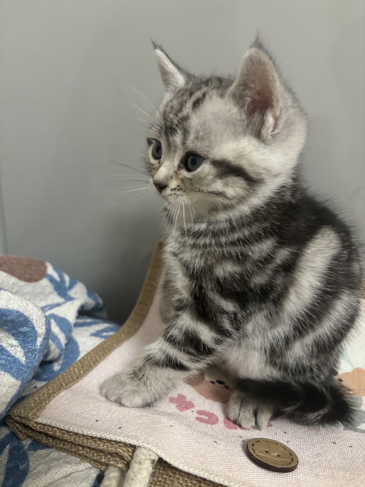 20260512185536mini_bbs_wap_3731797_Flw0wCkRJw3e6Ih_kLw1lxw3TdLD.jpg