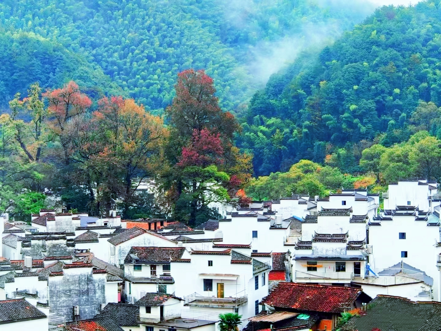 6 - ����.jpg