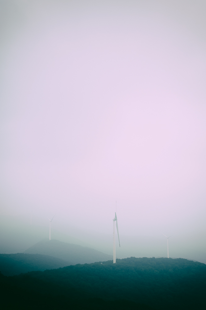 _DSC6550-�༭.jpg