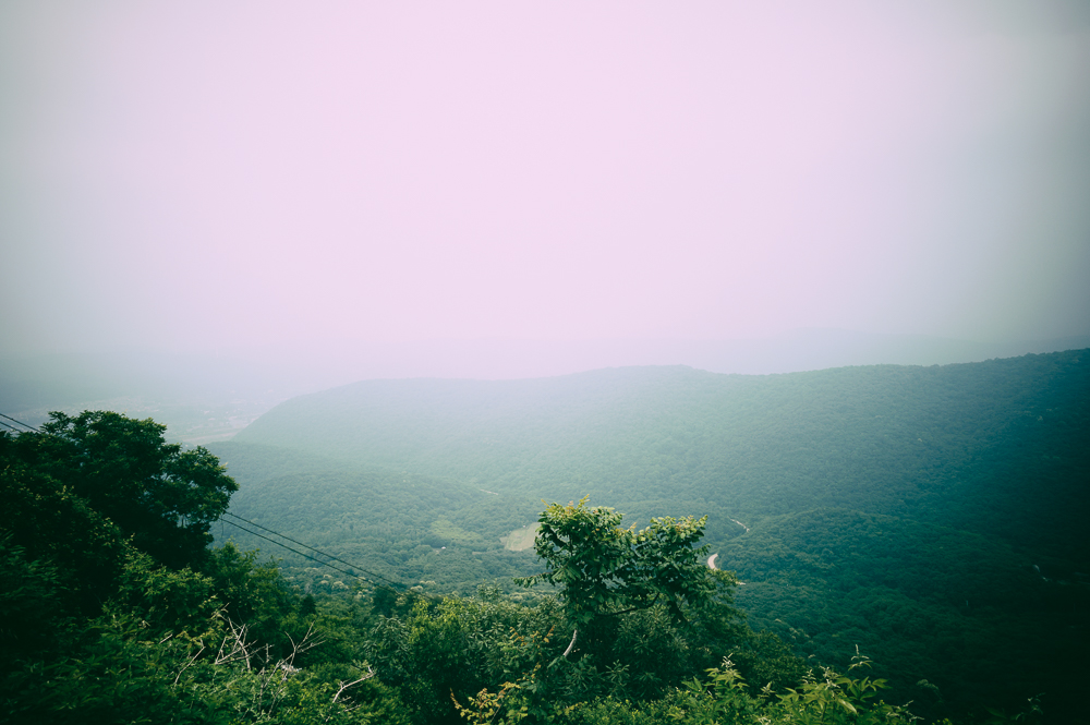 _DSC6515-�༭-2.jpg